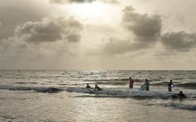 Surfwise Shimmer Programme