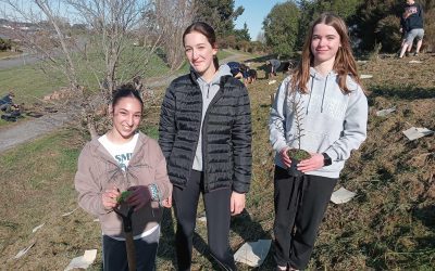 Y9 students plant over 800 natives at Pegasus