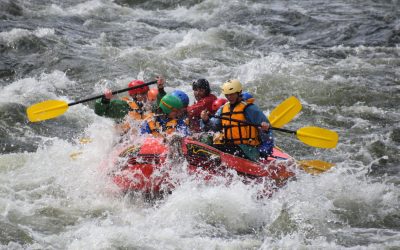 Level 3 Geography Trip – West Coast Experience