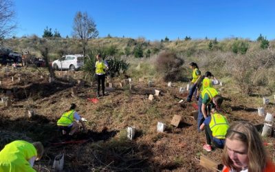 Tree Planting Initiative